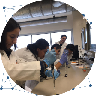 Scientists working in a laboratory